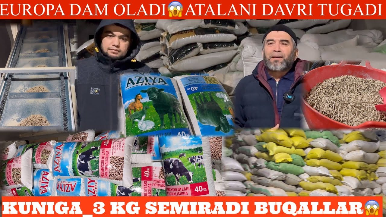 SHOK😳YANGLIK✊ENDI MOL BOQISH DAVRI K YEMCHI AKADAN SIZ IZLAGAN ENG SAMARALI Y🏃