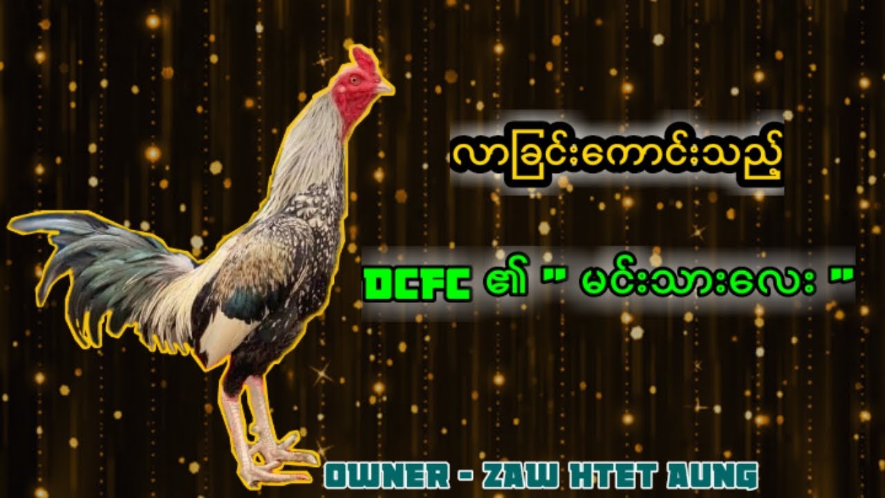 DCFC၏ထိပ်တန်းကြက်တစ်ကောင်ဖြစ်ခဲ့သည့်