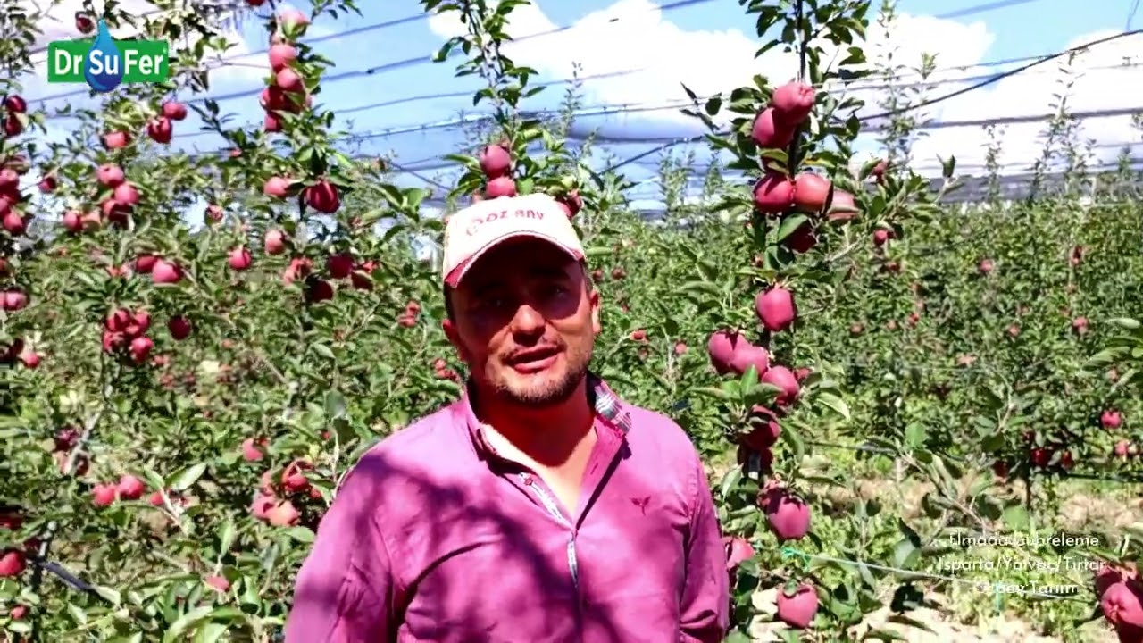 Elmada Gübreleme - Özbay Tarım (Isparta/Yalvaç/Tırtar)