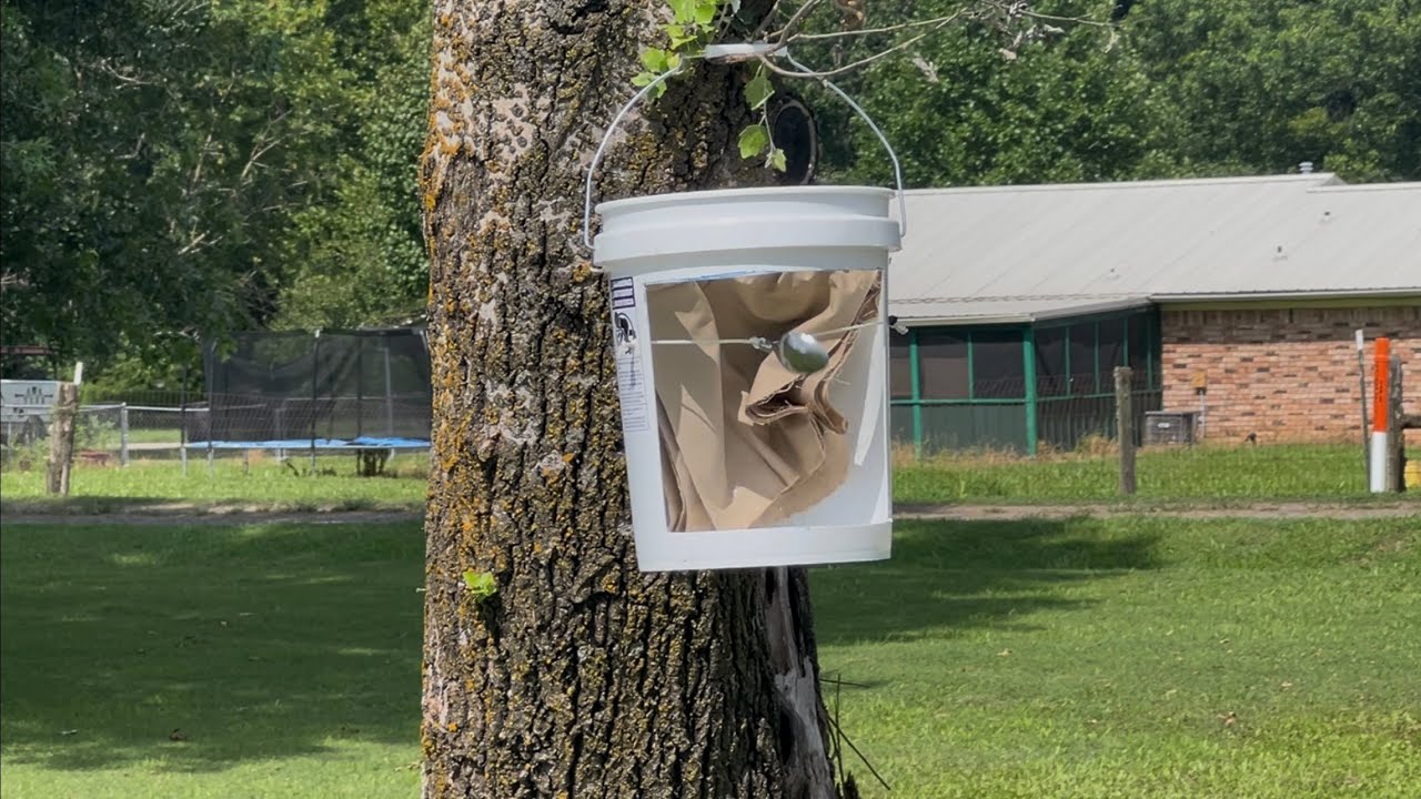 DIY Cheap Slingshot Catch Box | 5-Gallon Bucket Build