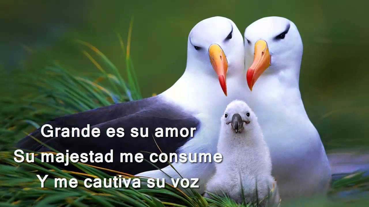 Quien como EL - Pista / Karaoke - Natalie Billini