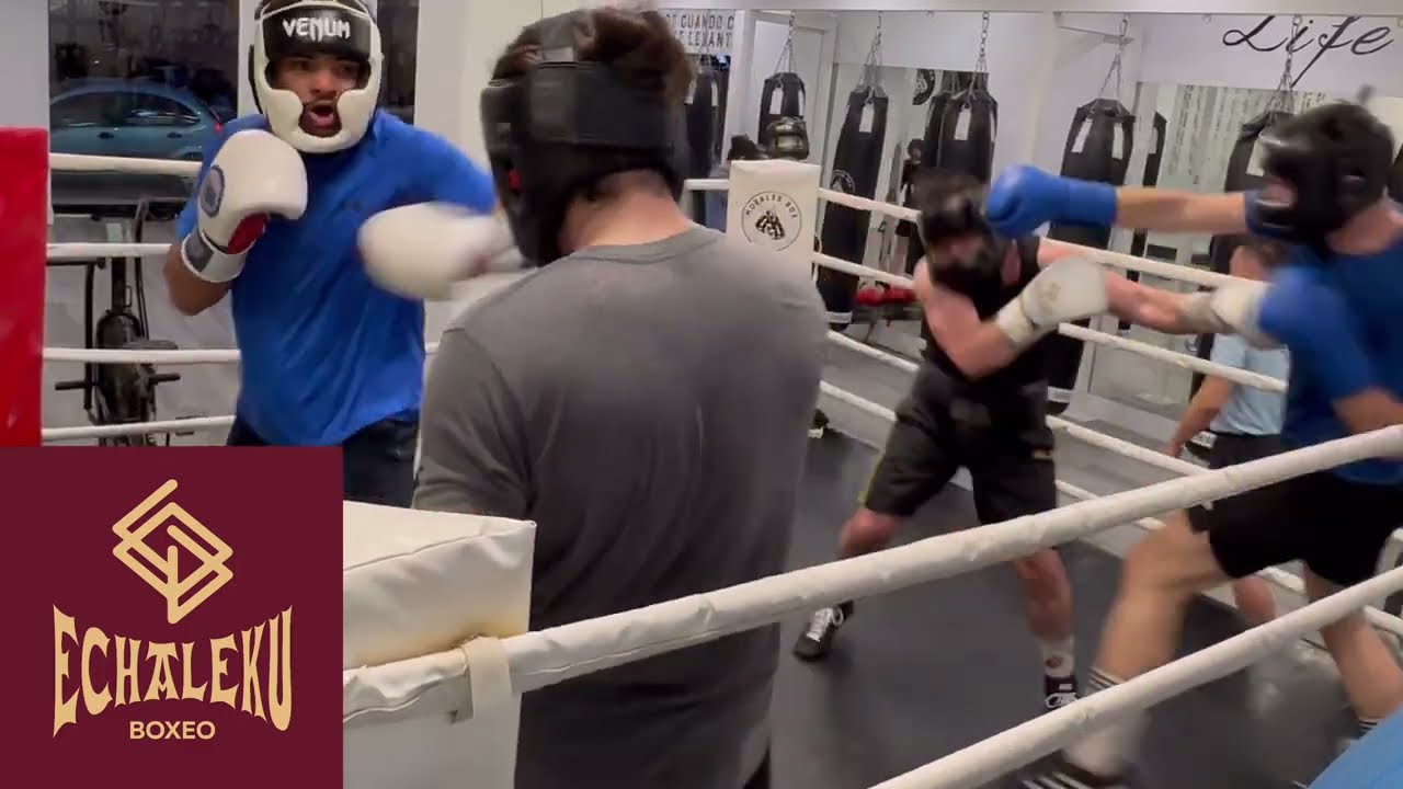 Sesión de sparring rotativa 15 de mayo de 2024 en Morales Box Valencia