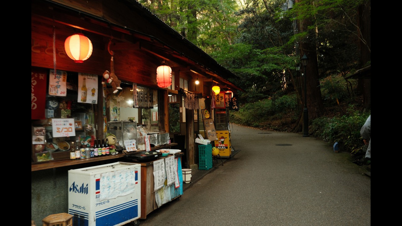 Travel Diary: Kyoto in Autumn - Day 5, Minoh Falls (Japan 2025)