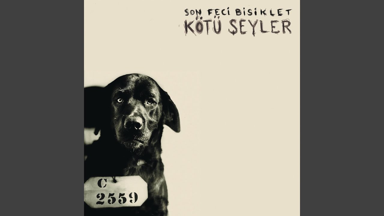 D&uuml;şman