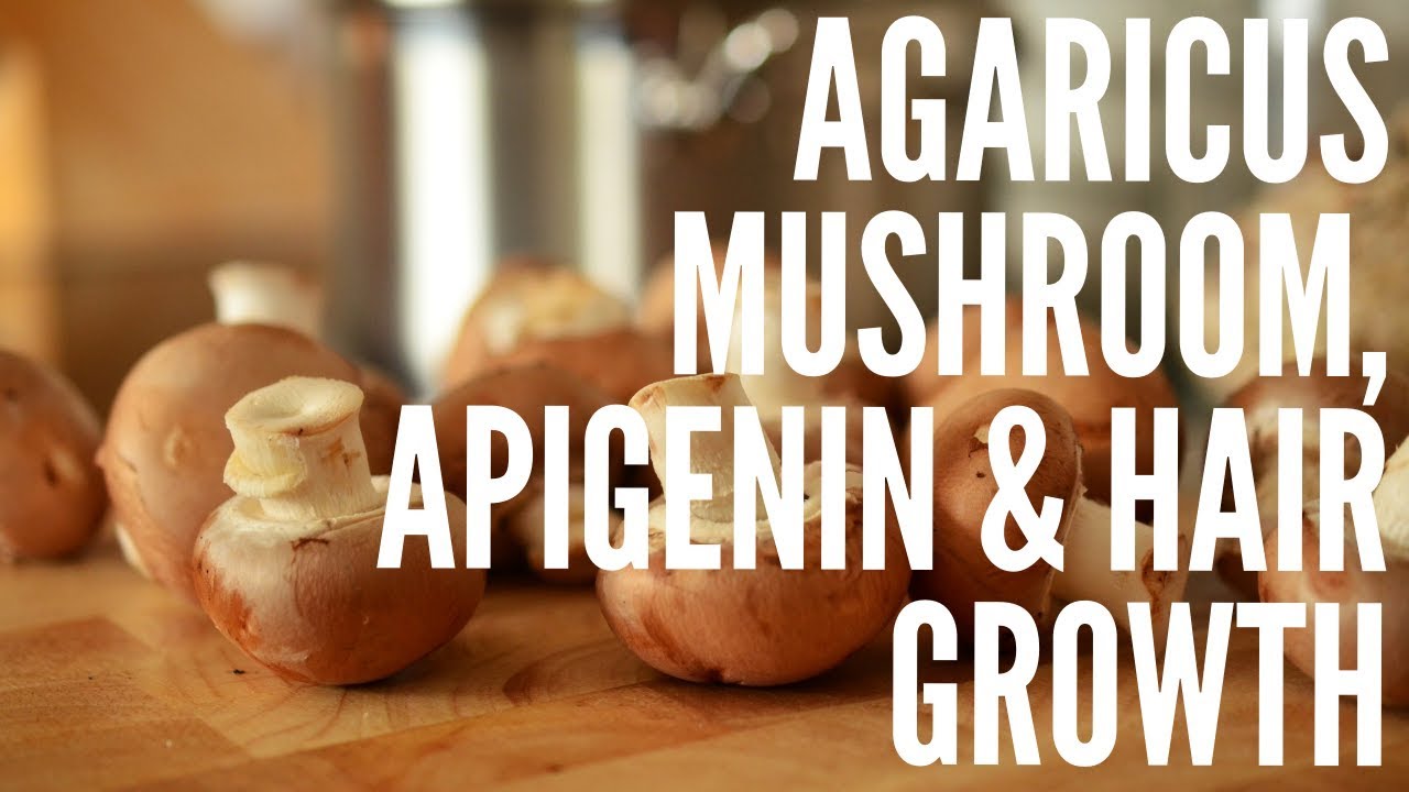 Grow Your Hair with Agaricus Mushroom