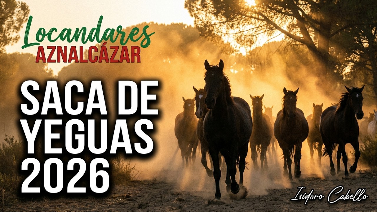 SACA DE LAS YEGUAS 2026 - EL ROCIO