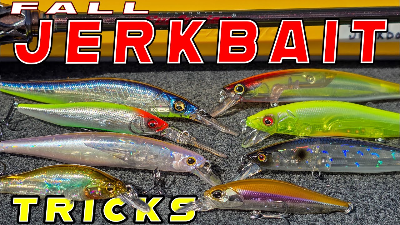 Early Fall Jerkbait Tricks For Bass! **Underwater Footage**