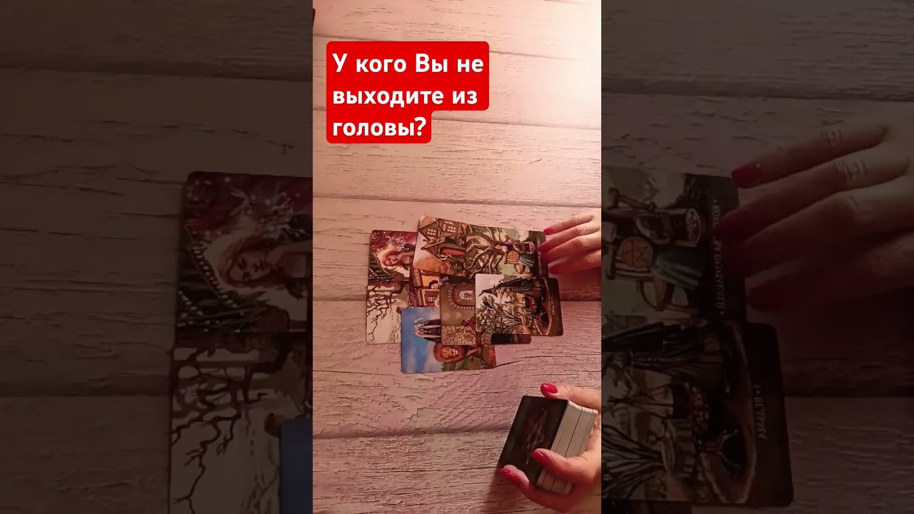 #онлайнрасклад #tarotube #taro #tarotmisha #гадание #tarot #таро #тароонлайн