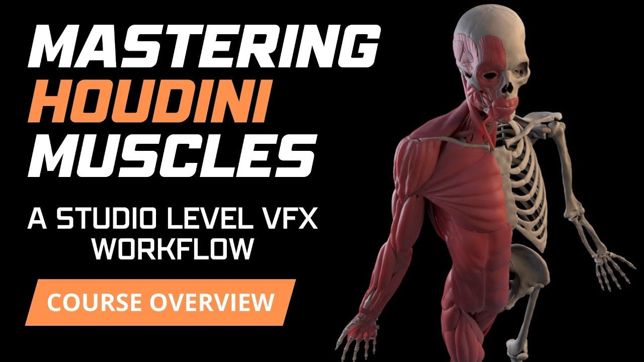 [COURSE OVERVIEW] Master Houdini Muscle Simulation: Studio-Level VFX Workflow #houdini #cfx