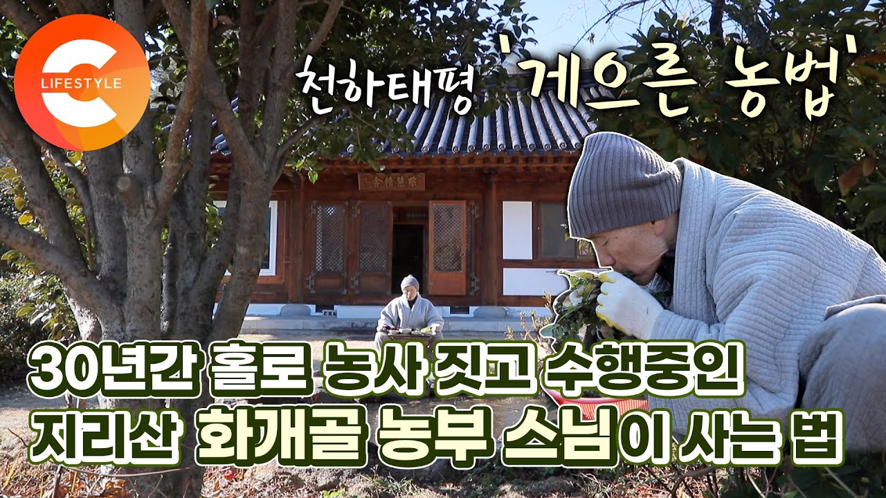 1984년에 출가해 지리산으로 간 사람, 30년 세월 홀로 농사 지으며 수행중인 농부 스님🥬 화개골 자응 스님이 사는 법