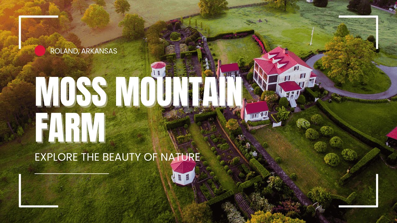 Visit Moss Mountain Farm