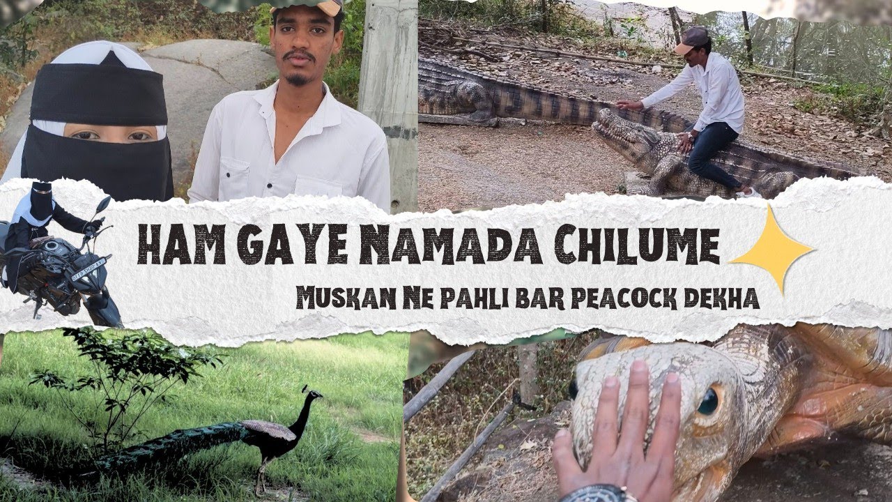 Ham Gaye Namada Chilume❤️⛰️| Muskan Ne pehli Baar Peacock Dekha 🦚👀
