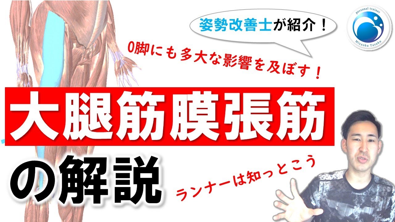 「ランナー＆O脚必見！大腿筋膜張筋の解説」姿勢・動作改善トレーナー”姿勢改善士”が教える！