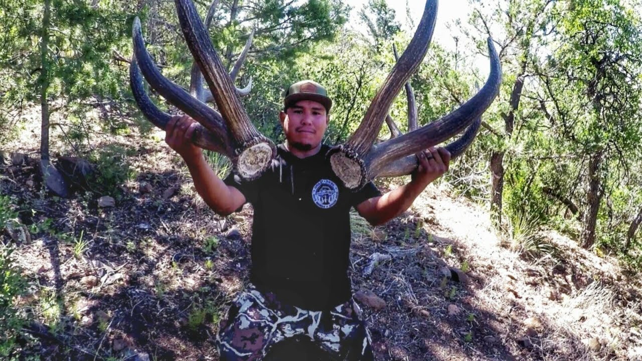 Shed Hunting WMAT 2.0 | Поиск крупных коричневых оленей на начальном этапе