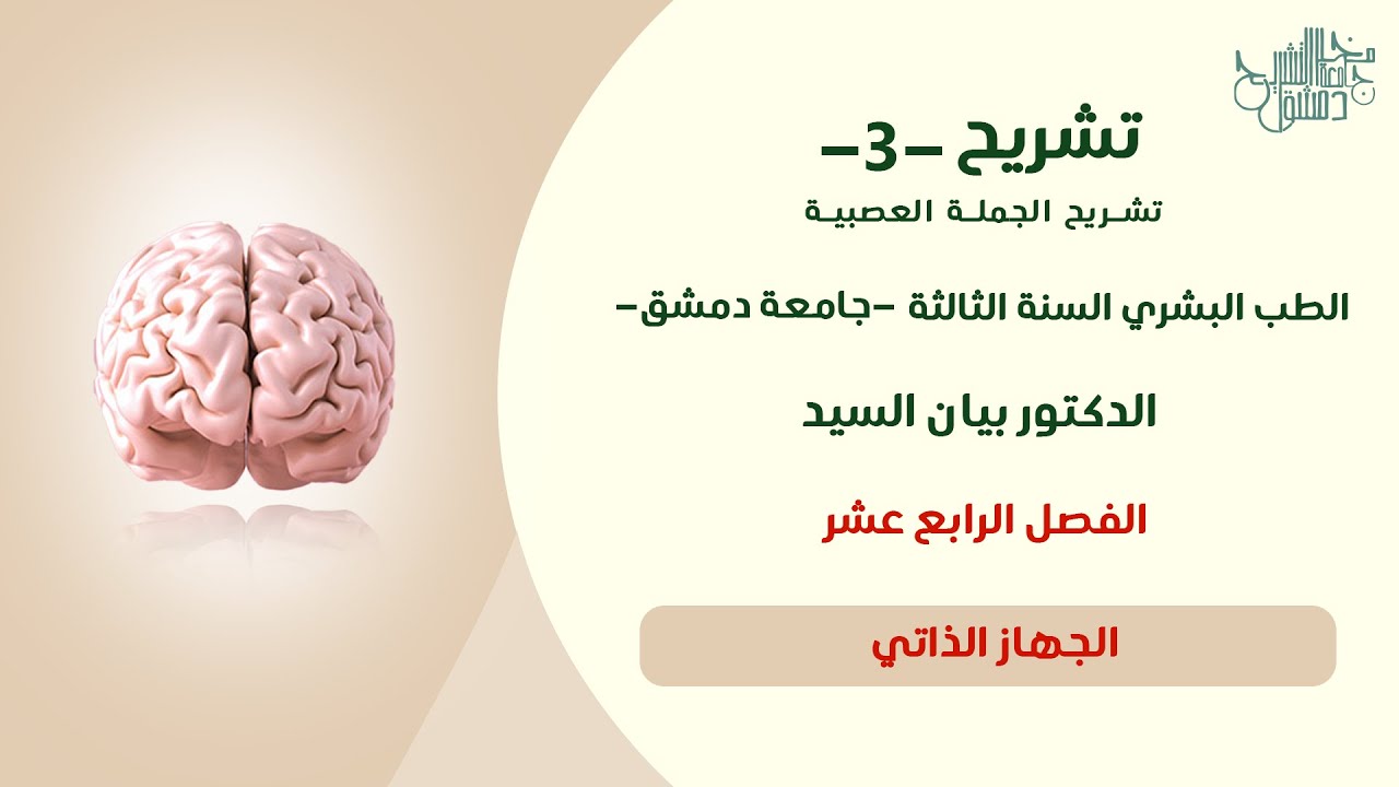 تشريح 3 | الجهاز الذاتي ( الفصل الرابع عشر ) د.بيان السيد