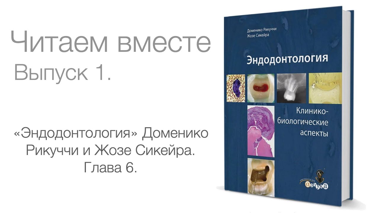 Читаем вместе. Выпуск 1. &laquo;Эндодонтология&raquo; Доменико Рикуччи и Жозе Сикейра. Глава 6.