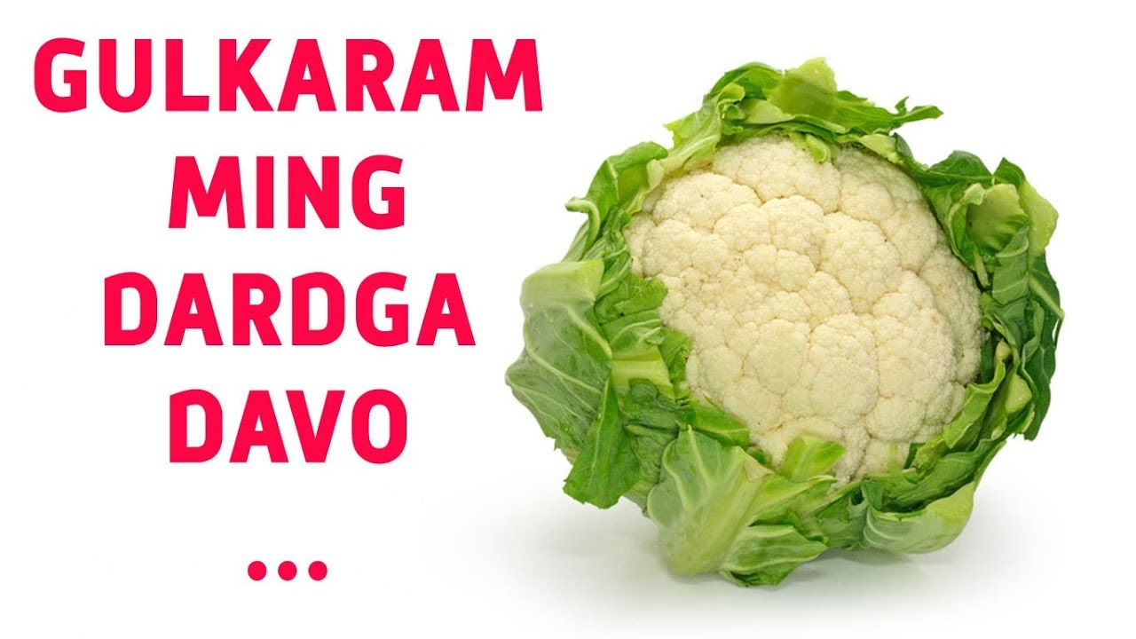 Гулкарам Минг Дардга Даво !!!