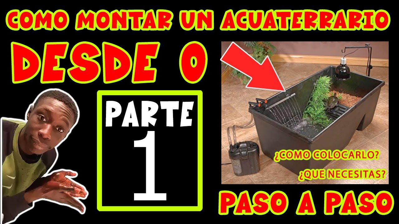 GÚIA PARA PRINCIPIANTES, COMO MONTAR UN ACUATERRARIO PARTE 1