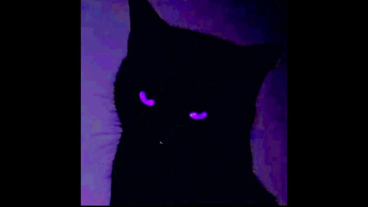 [FREE] Dark Ambient Lil Peep Type Beat 