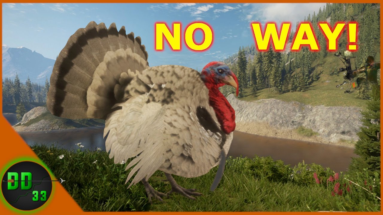 The GREAT WHITE TURKEY!!! Call Of The Wild