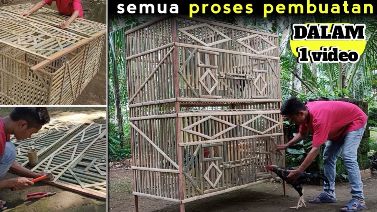 MEMBUAT KANDANG AYAM BANGKOK 4 PINTU | kandang jago sederhana