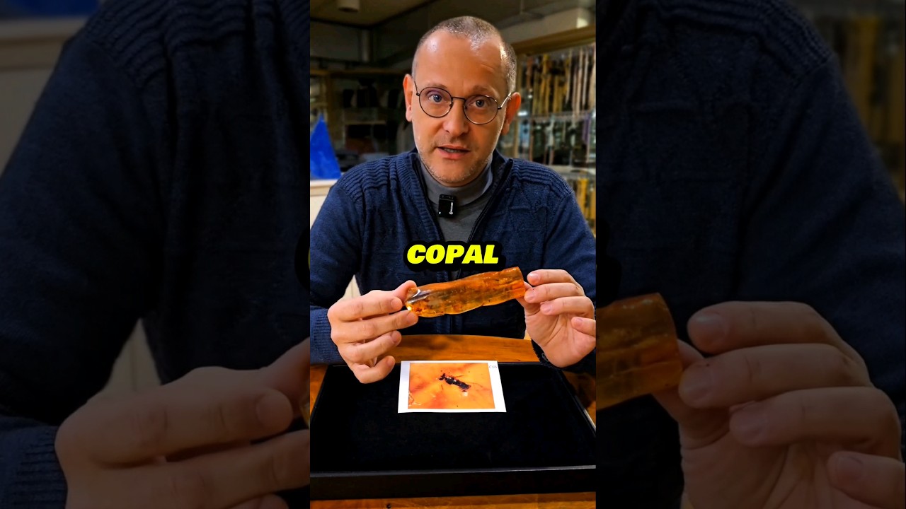 AMBER and COPAL how they scam you #gemstone #gems #gemology #amber #copal