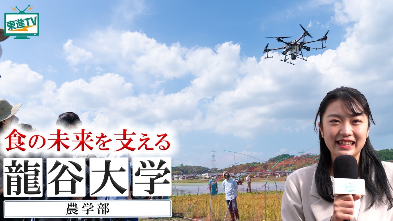 龍谷大学農学部｜農業×ITの実習で生命の秘密を学ぶ！管理栄養士を目指すなら必見！ #龍谷大学 #農学部 #管理栄養士