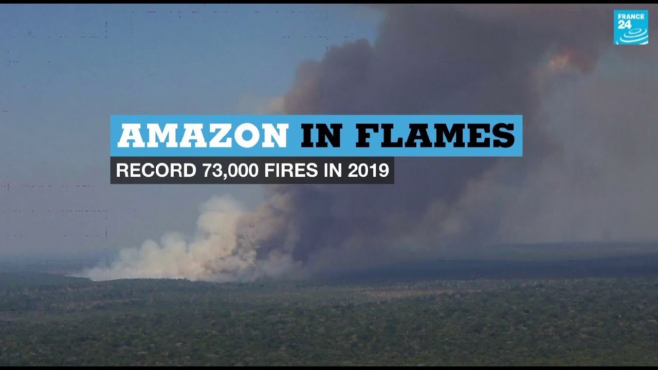Amazon in flames: Record 73,000 forest fires in 2019