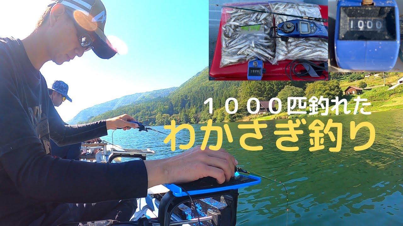 ワカサギ釣りしたら1000匹釣れっちゃった!【木崎湖】最後にお知らせあり