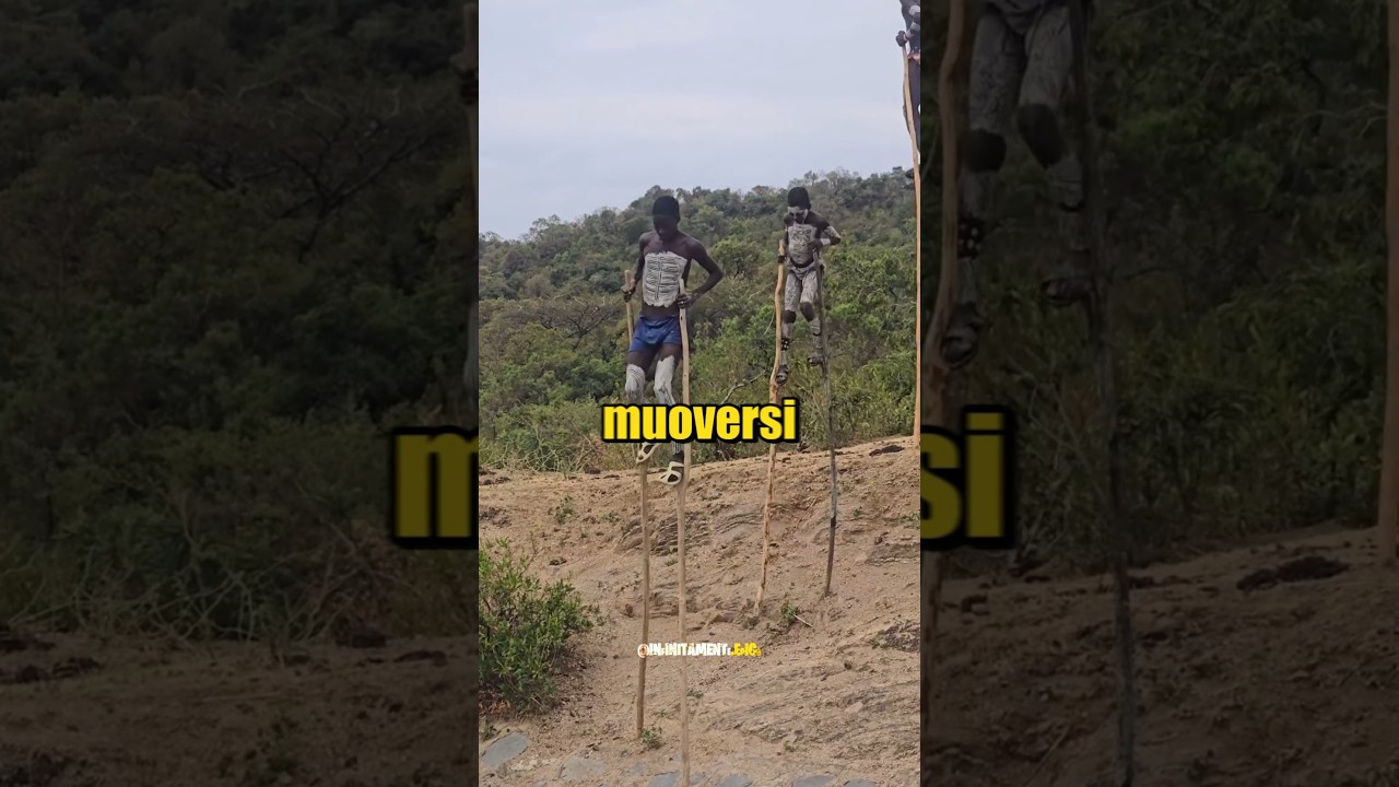 Usano i TRAMPOLI gi&agrave; da Piccoli! 🫢 #africa #divertente