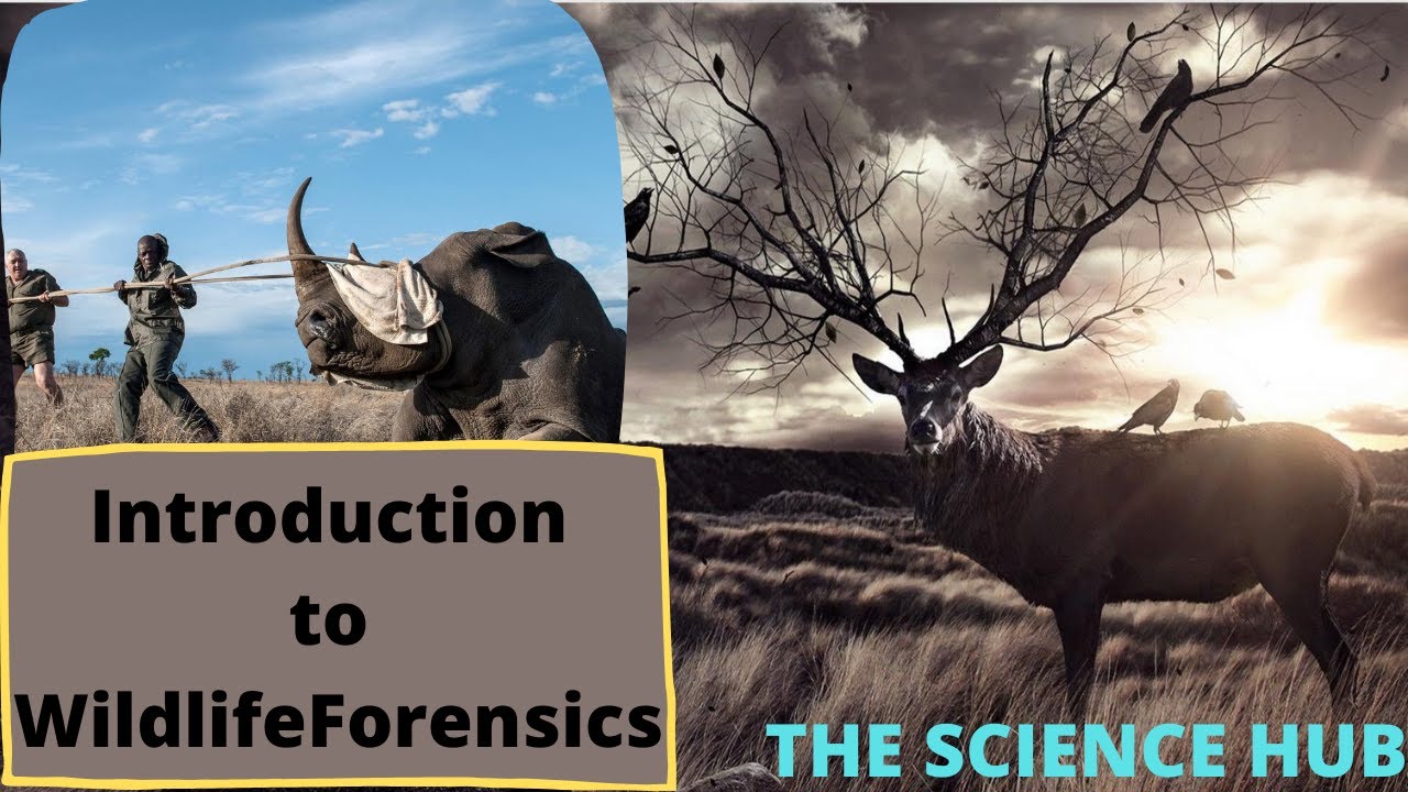 Introduction to Wildlife Forensics | Forensic science