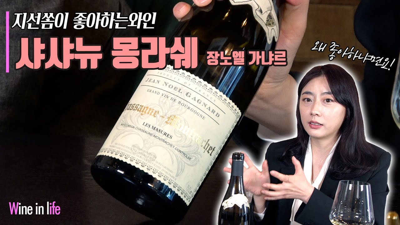 샤도네이 화이트와인 '샤샤뉴 몽라쉐'  한 모금에 눈이뜨였다