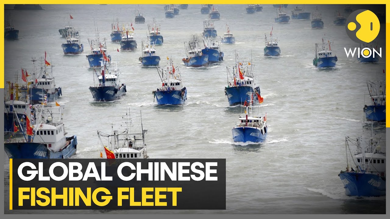 How China’s fishing fleet is transforming world’s oceans | WION
