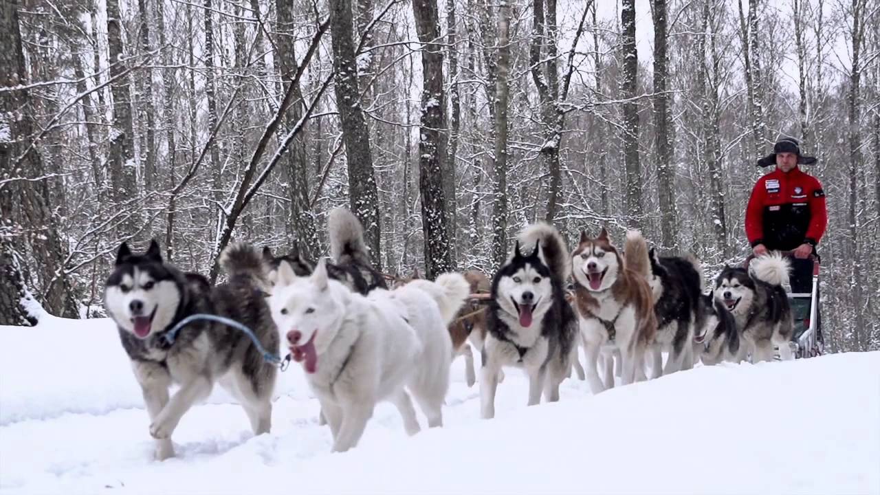 PrzystanekAlaska.pl zima