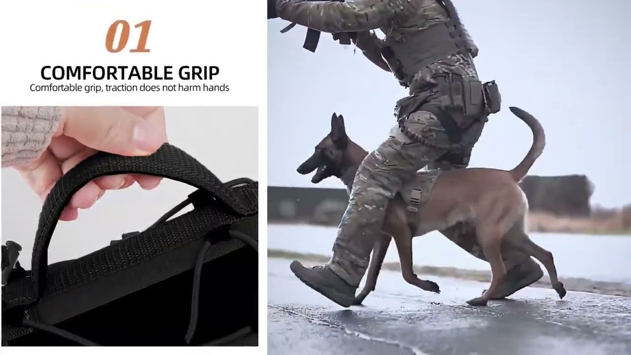 🐕No-Pull Tactical Dog Harness &ndash; Outdoor Adventure Ready!#DogCollar#Dog