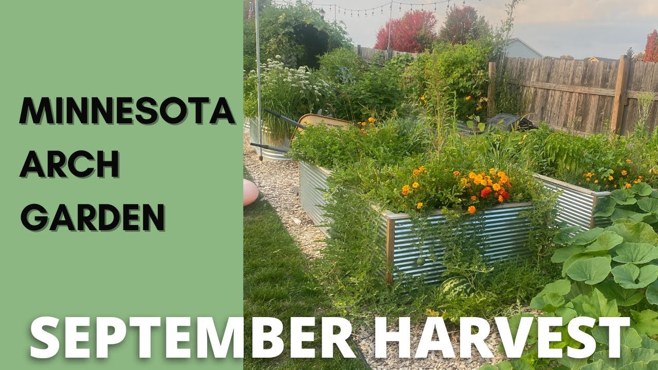 September Harvest: Minnesota Arch Garden