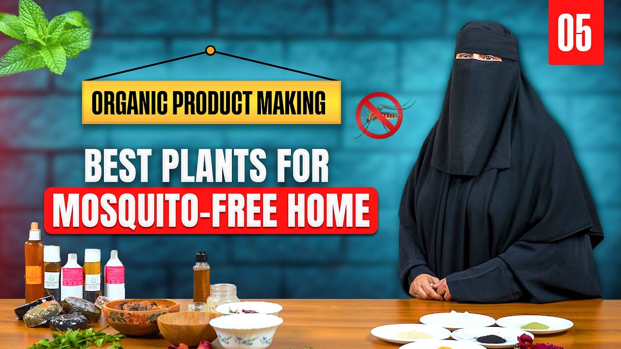 Organic Product Making | Part 5: Best Plants for a Mosquito-Free Home | Retro Elite by Raazia Junaid