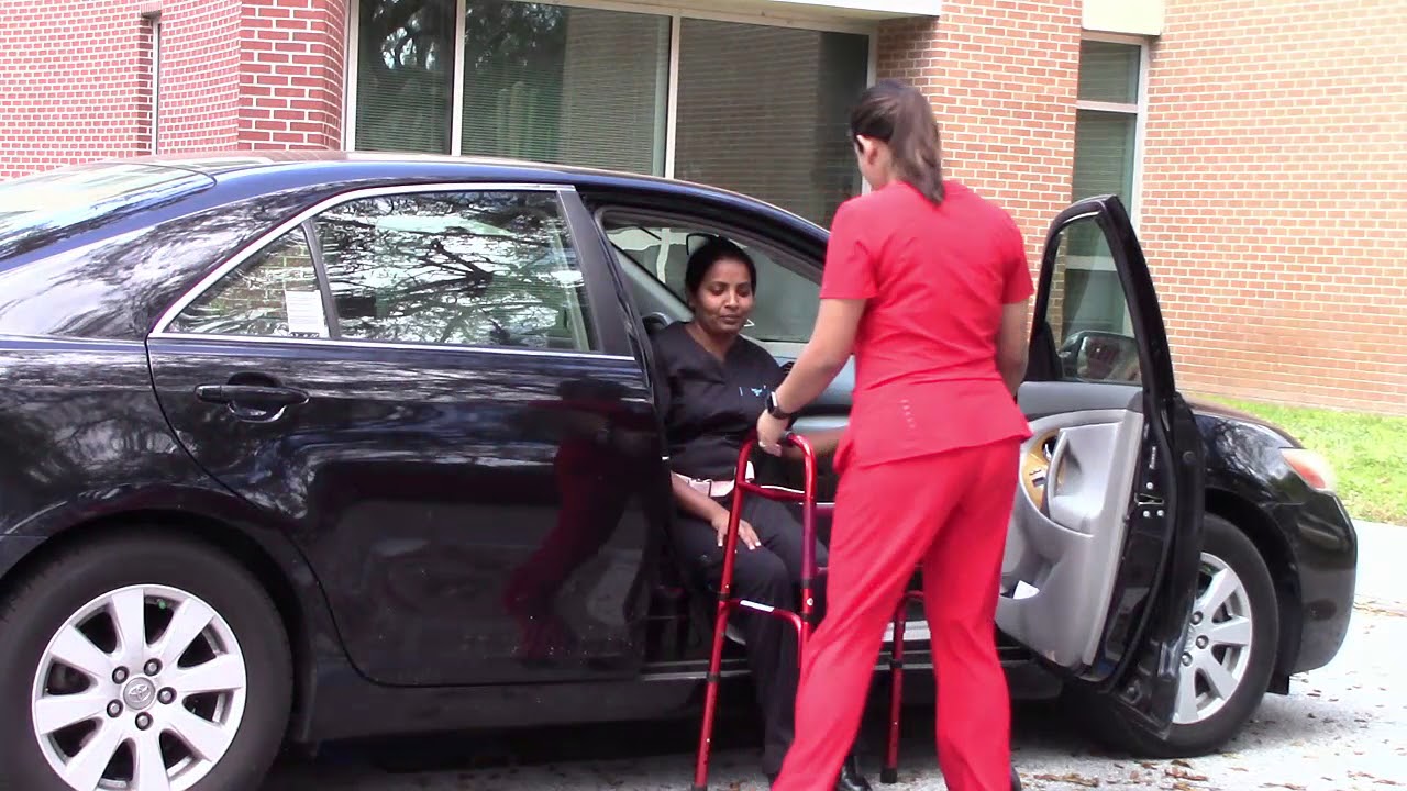 Video para enseñarle a subir y bajar del auto sin peligro