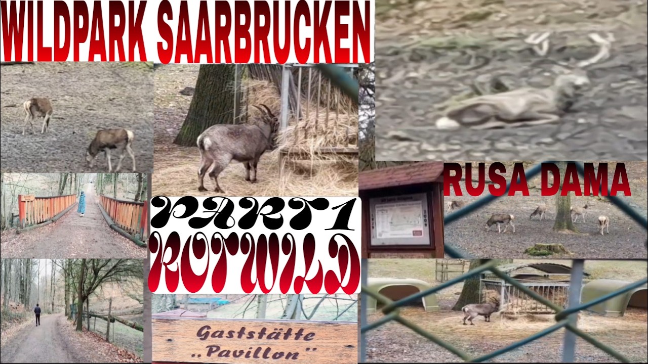 JALAN JALAN KE TAMAN MARGASATWA SAARBRÜCKEN #PART1