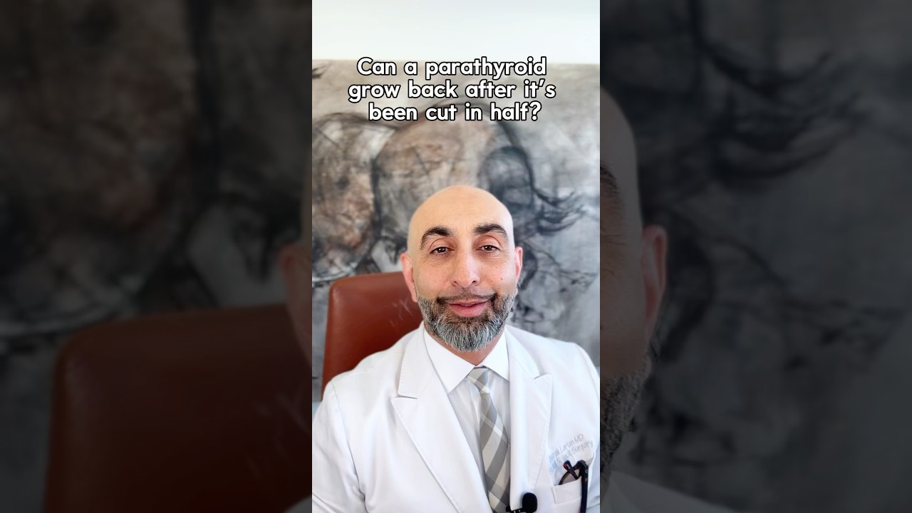 Can a parathyroid gland grow back after it&rsquo;s been cut in half during surgery?