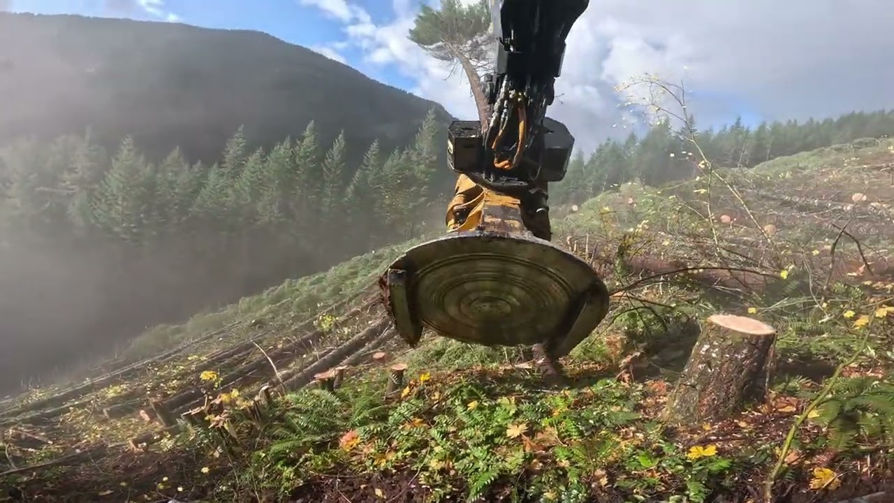 Tethering the LX870D with a T-Winch