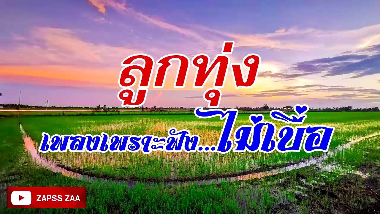 เพลงลูกทุ่งเพราะฟังสบายไม่เบื่อ