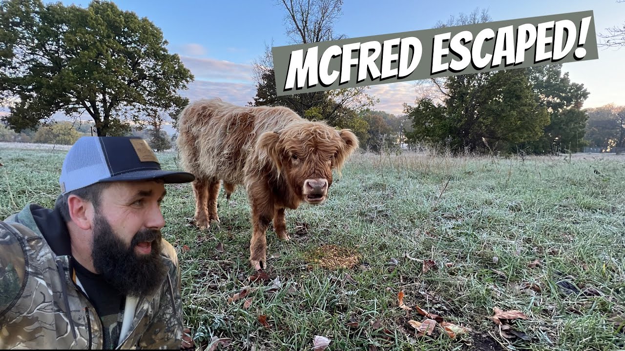 McFRED MADE A RUN FOR IT!