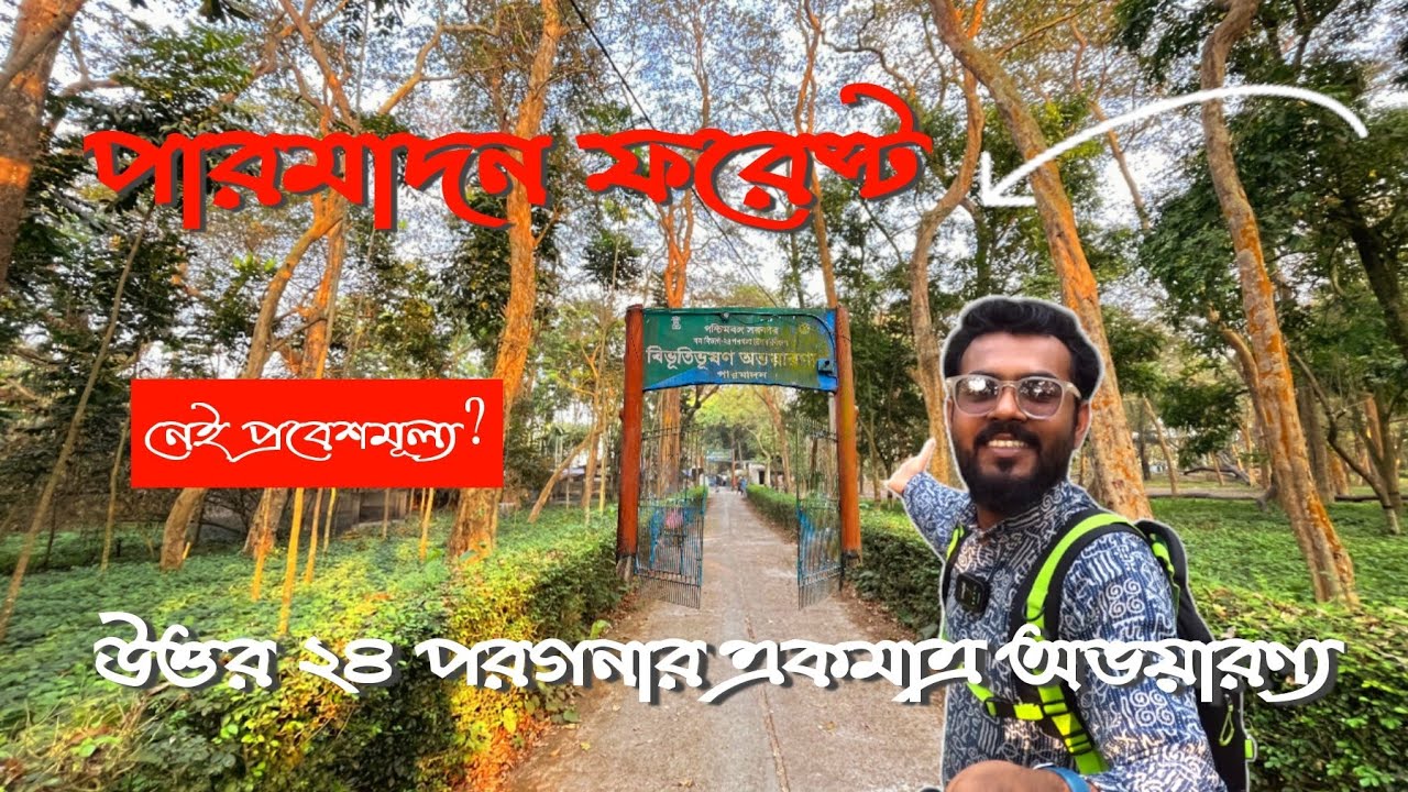 Parmadan Forest: A Hidden Gem Of West পারমাদন ফরেস্ট