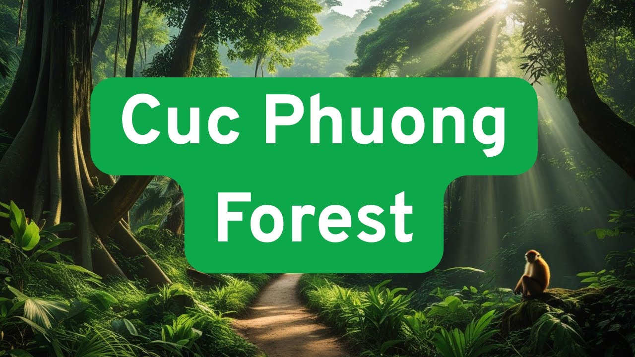 Exploring Vietnam's Oldest Forest: Cuc Phuong Adventure