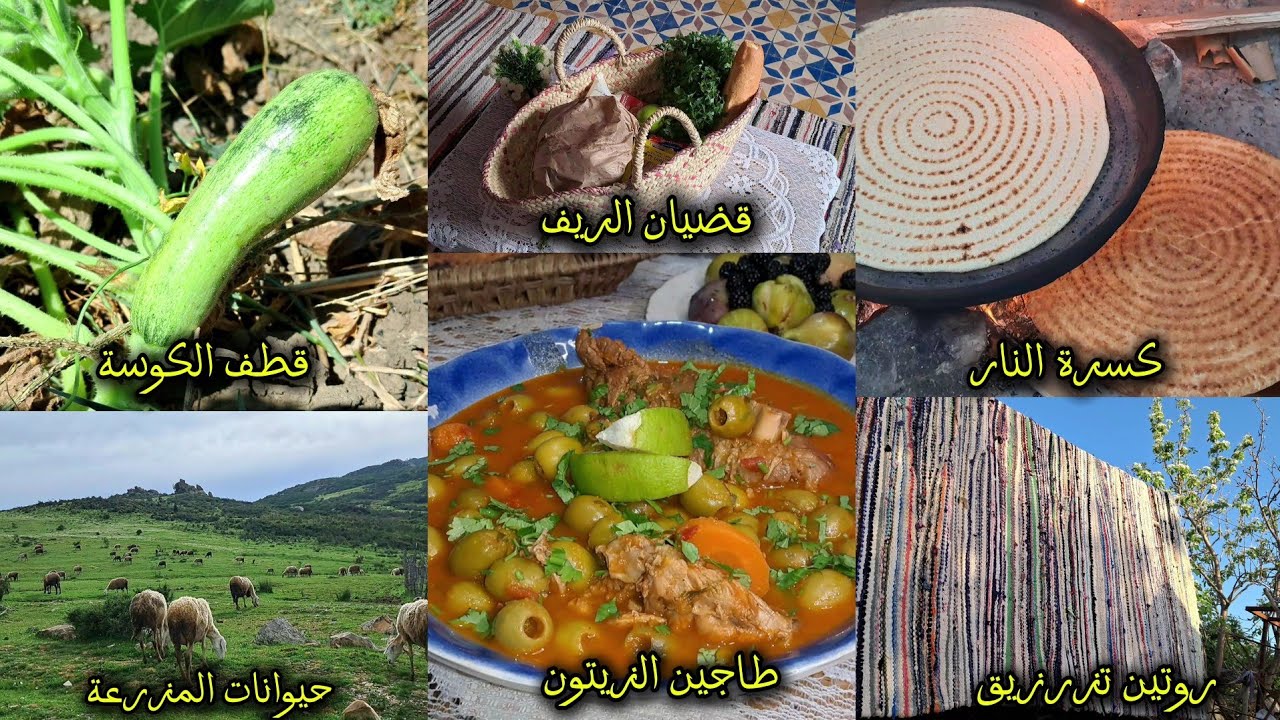 روتين ريفي جزائري 🏡 | تزرزيق وطبخ تقليدي على الحطب 🔥| كسرة وطاجين الزيتون 🍲 | قطف الكوسة من الحقول 🌿