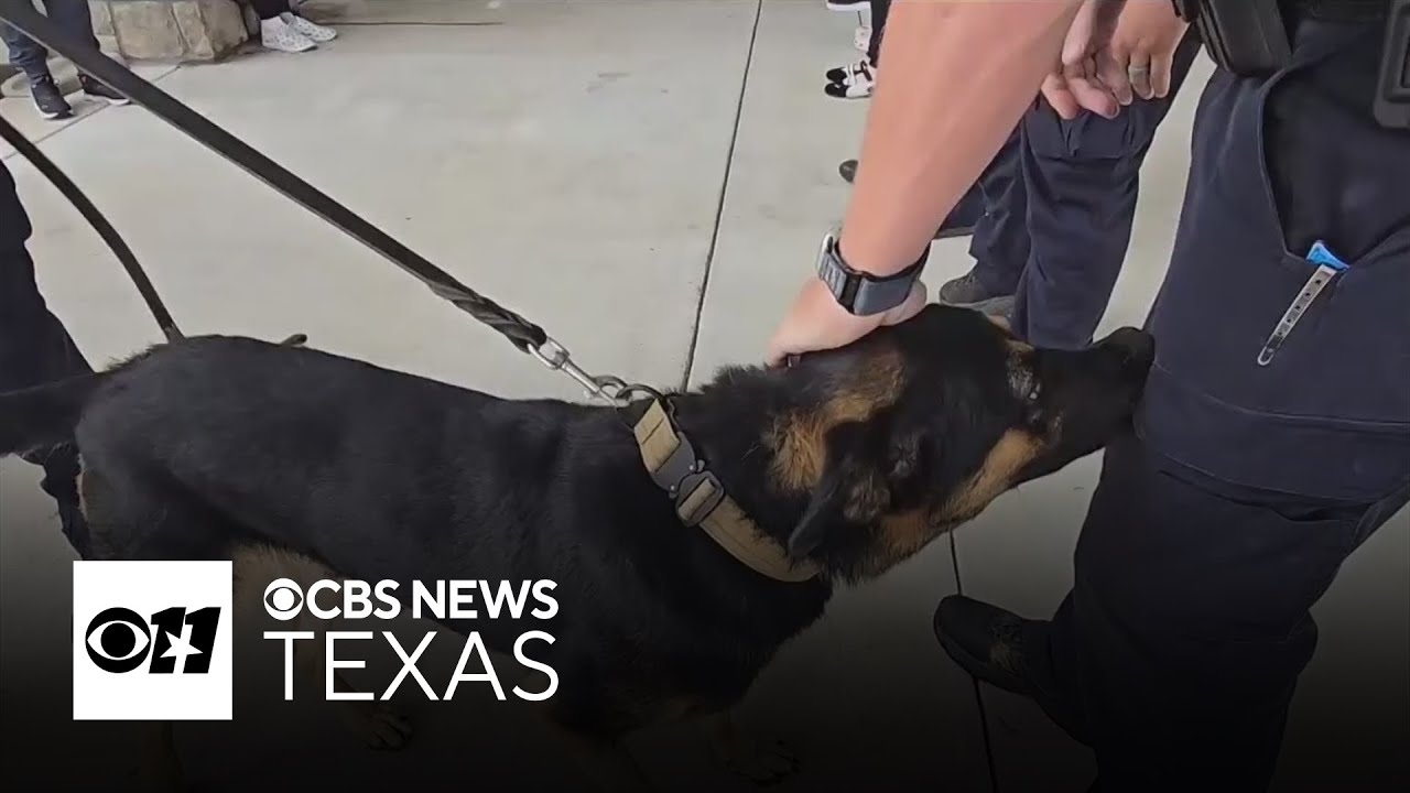 Dallas police K-9 released from vet hospital after heat exhaustion