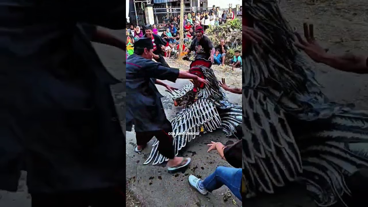 pitik tarung #jaranan #barongkemiren #viralvideos #barongan #fyp