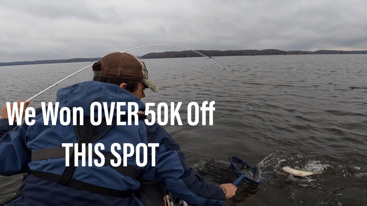 Fishing For Over $50,000 From A Kayak!!! (Hobie BOS TOC Caddo Lake Day One)