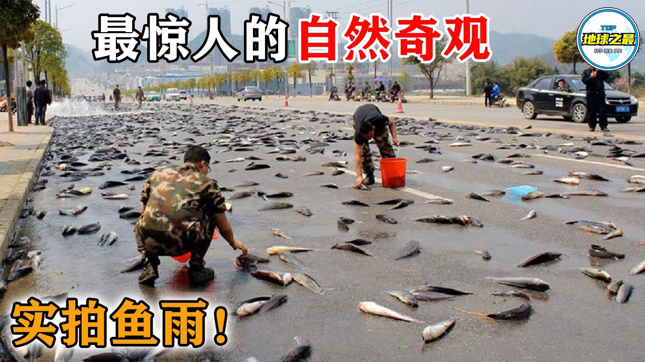 伊朗街头实拍“鱼雨”轰炸，活鱼砸穿车窗！15 种震撼到窒息的自然奇观，科学家都懵了！丨地球之最#冷知识 #排名 #世界之最#地球之最top#世界之最top#top10#top15#最惊人的#自然现象